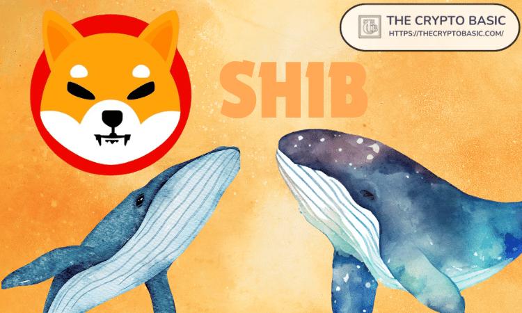 新Shiba Inu Whale在市场调整中以惊人速度增长 400000000000 SHIB