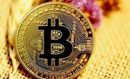 gopay钱包支付密码设置为几位数？如何处理忘记gopay钱包支付密码的情况？
